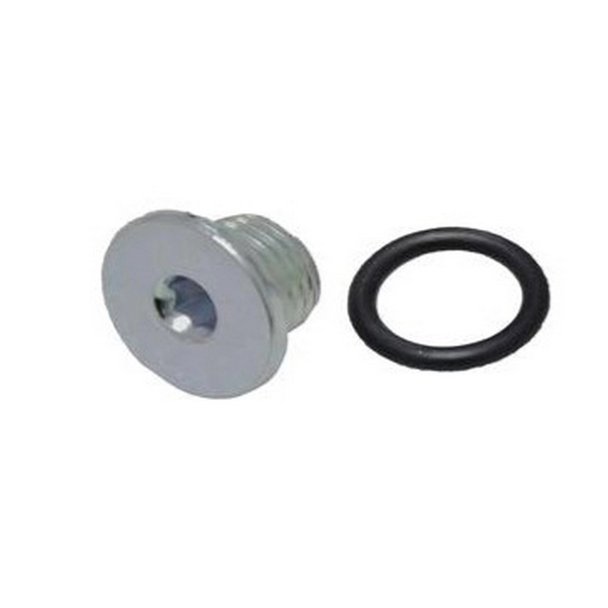 RKS RZ 250-S KARTER KAPAĞI SAĞ TAPASI ve CONTASI KÜÇÜK #RK 57786